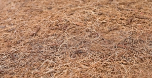 Naturalna mata kokosowa wewnątrz materaca dziecięcego Sensillo 60x120 cm